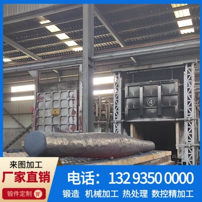 锻造F22锻件