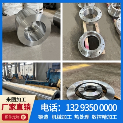 工业专用不锈钢锻件